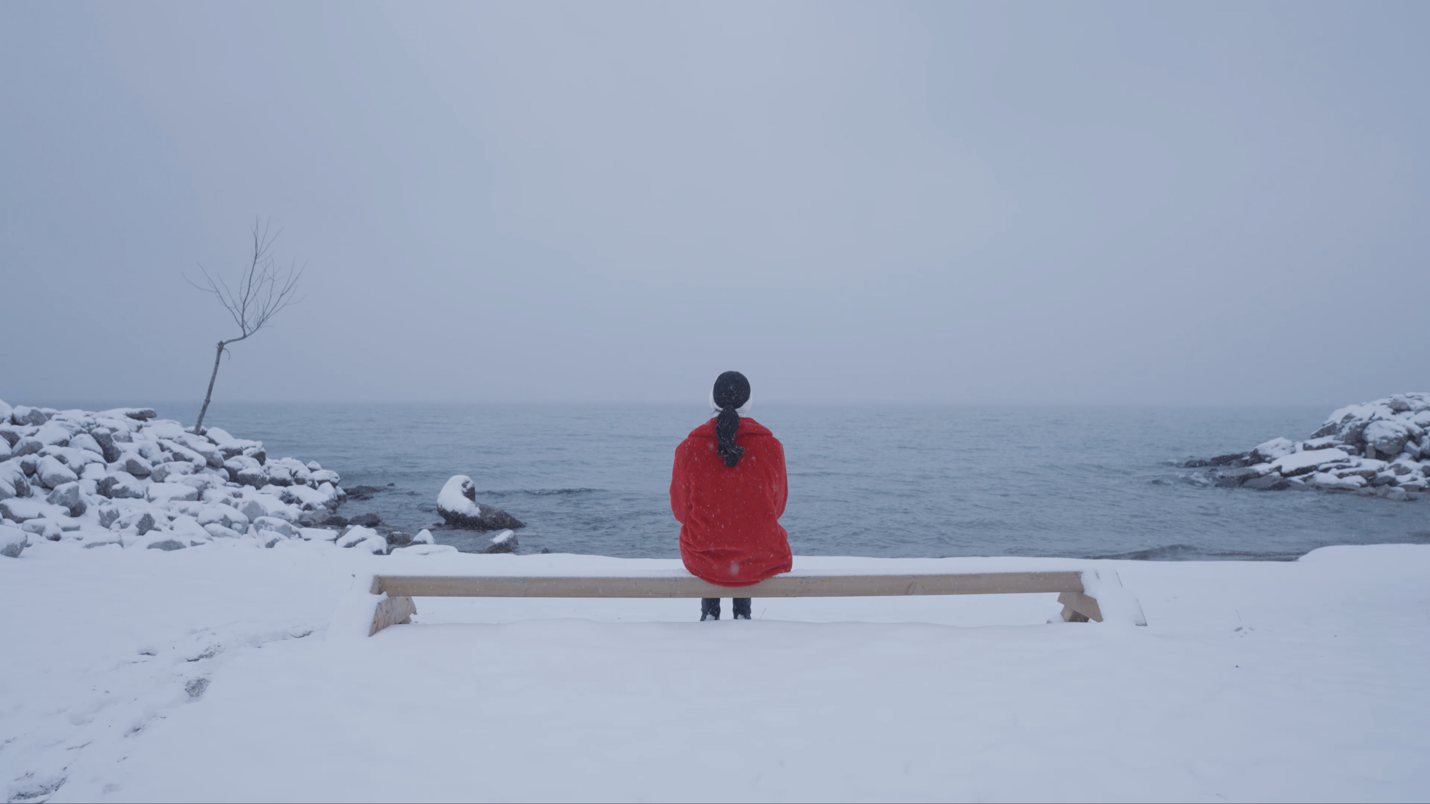 Walking in a Snowstorm